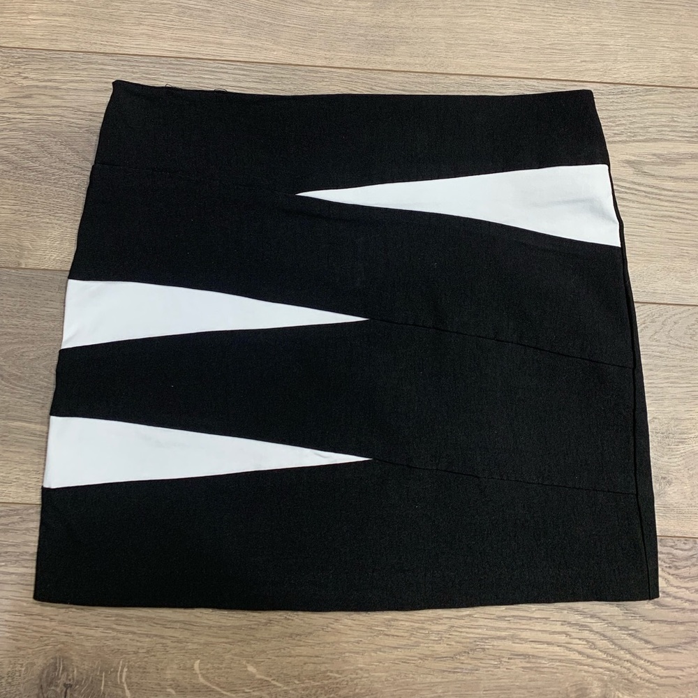 CHARLOTTE RUSSE Zebra Skirt - Picture 2 of 7